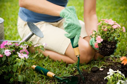 entretien de jardin