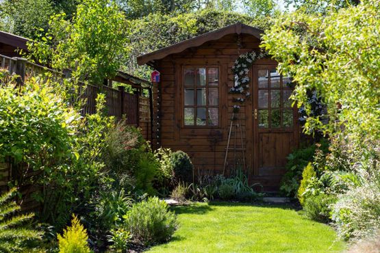 jardins verts avec cabane